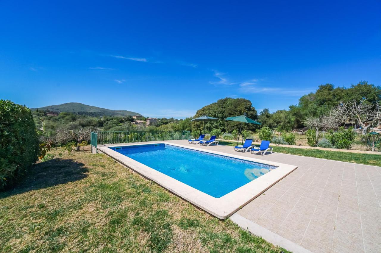 Ideal Mallorca - Sementaret *