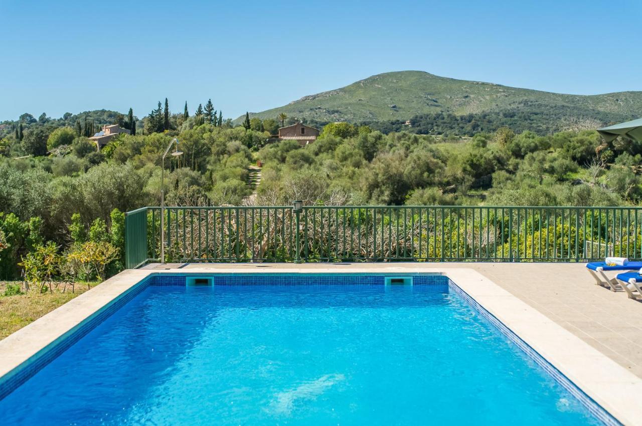 Ideal Mallorca - Sementaret