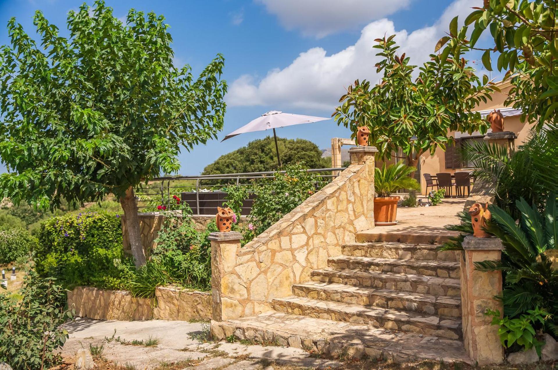 Ideal Mallorca - Sementaret