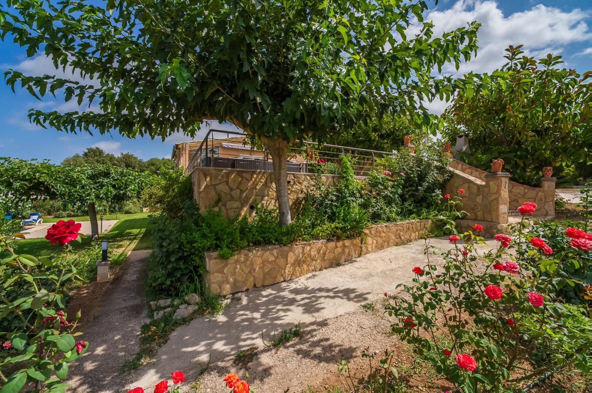 Landhaus Ideal Mallorca - Sementaret