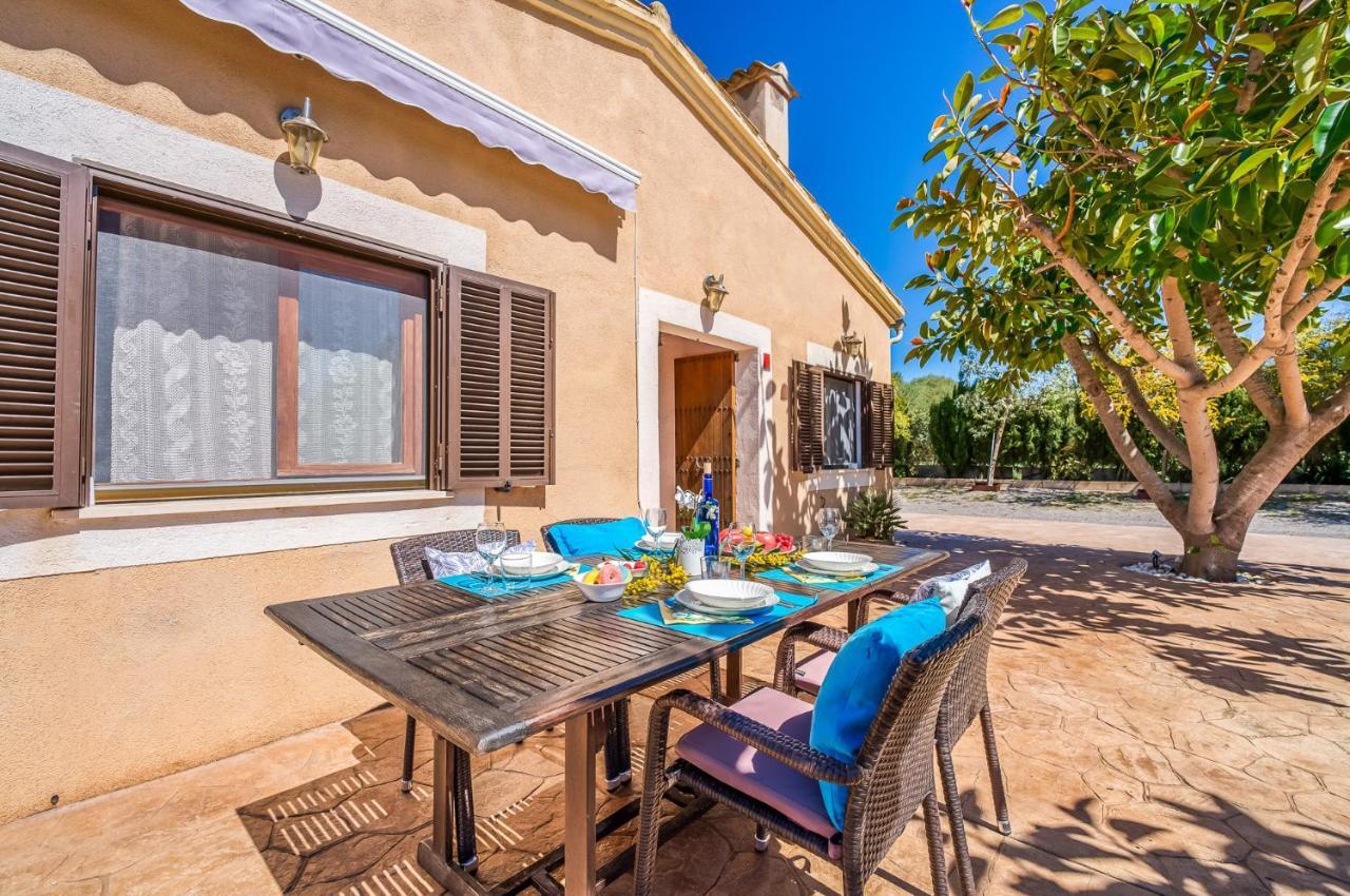 Ideal Mallorca - Sementaret
